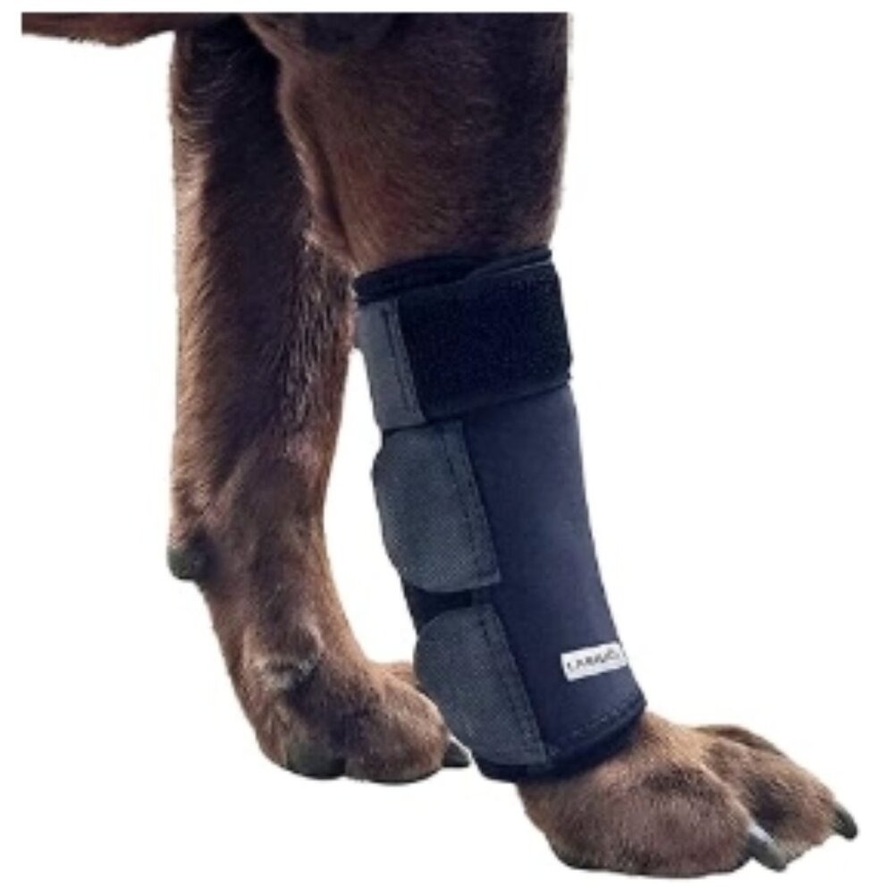 Dog Front Leg Brace Compression Wrap with Adjustable Straps